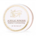 RaNails Puder 15g Perfect Cover Pink